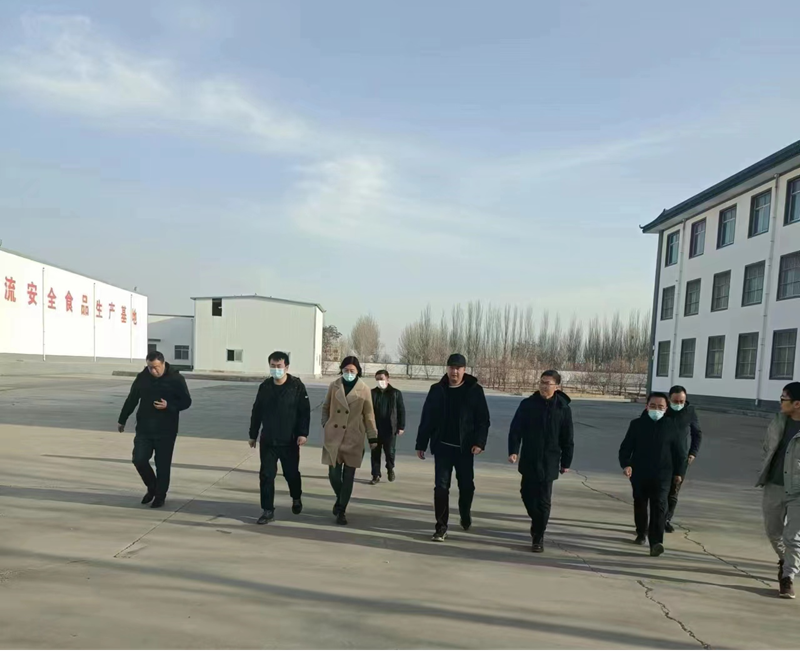 石嘴山市副市長、惠農(nóng)區(qū)委書記王宇翔蒞臨寧夏興康恒潤農(nóng)業(yè)科技發(fā)展有限公司調(diào)研