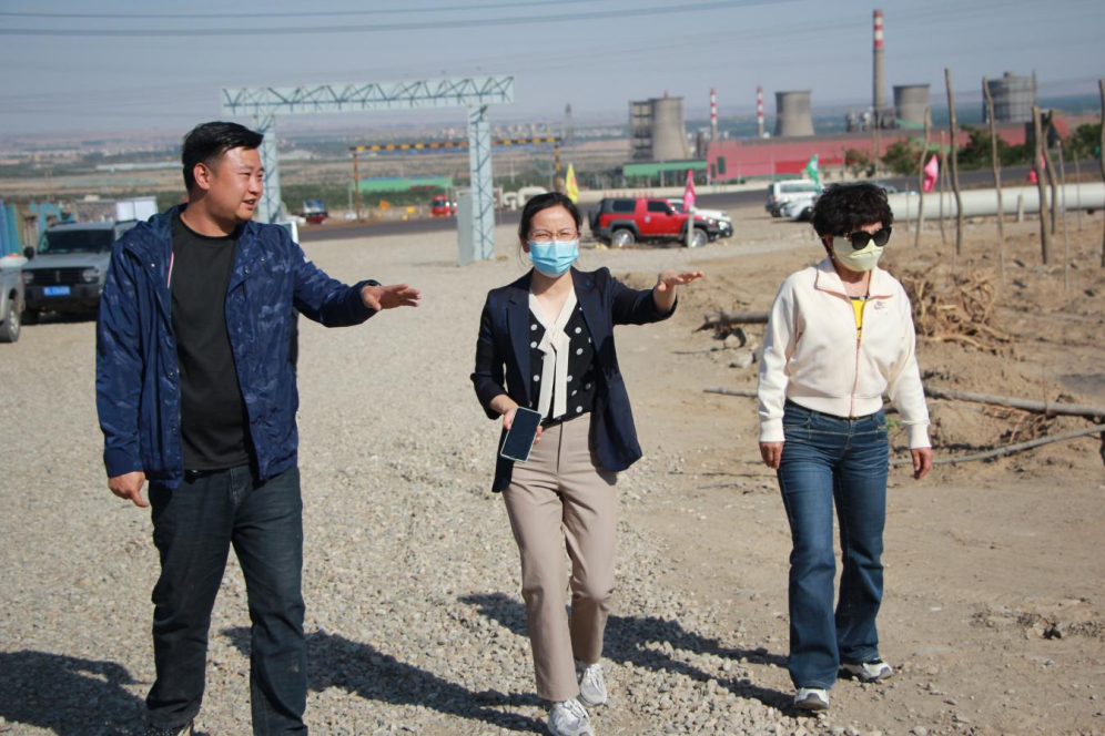 石嘴山市農(nóng)業(yè)農(nóng)村局副局長徐永霞、農(nóng)經(jīng)中心主任王曉斌一行蒞臨基地檢查指導(dǎo)