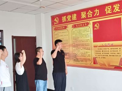 寧夏岳氏開(kāi)展“不忘初心，牢記使命”主題黨日活動(dòng)